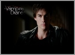 Ian Somerhalder, Pamiętniki wampirów, Vampire Diaries